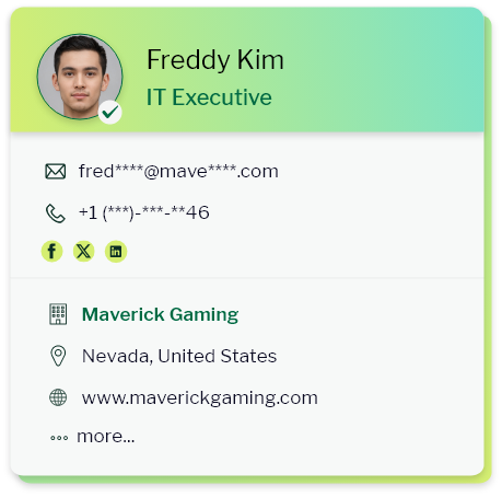 IT Executives Email list