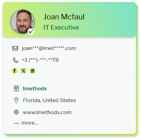 IT Executives mailing list