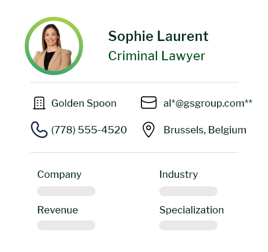 Criminal Lawyers Email List
