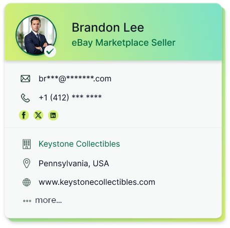 Detailed eBay store owners list with business names, owner information, store URLs, and contact data.
